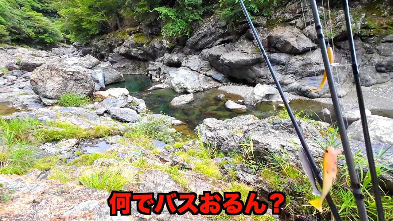 関西一の秘境でバス釣りしたら、色々ヤバかった。
