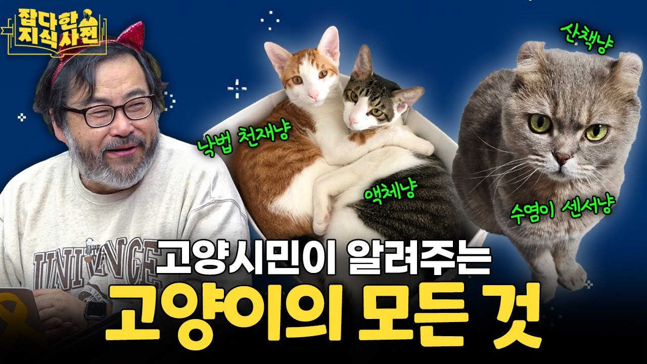 과학자가 보는 '고양이 액체설' / 형제 고양이끼리 색이 다른 충격적인 이유 🐈🐈‍⬛