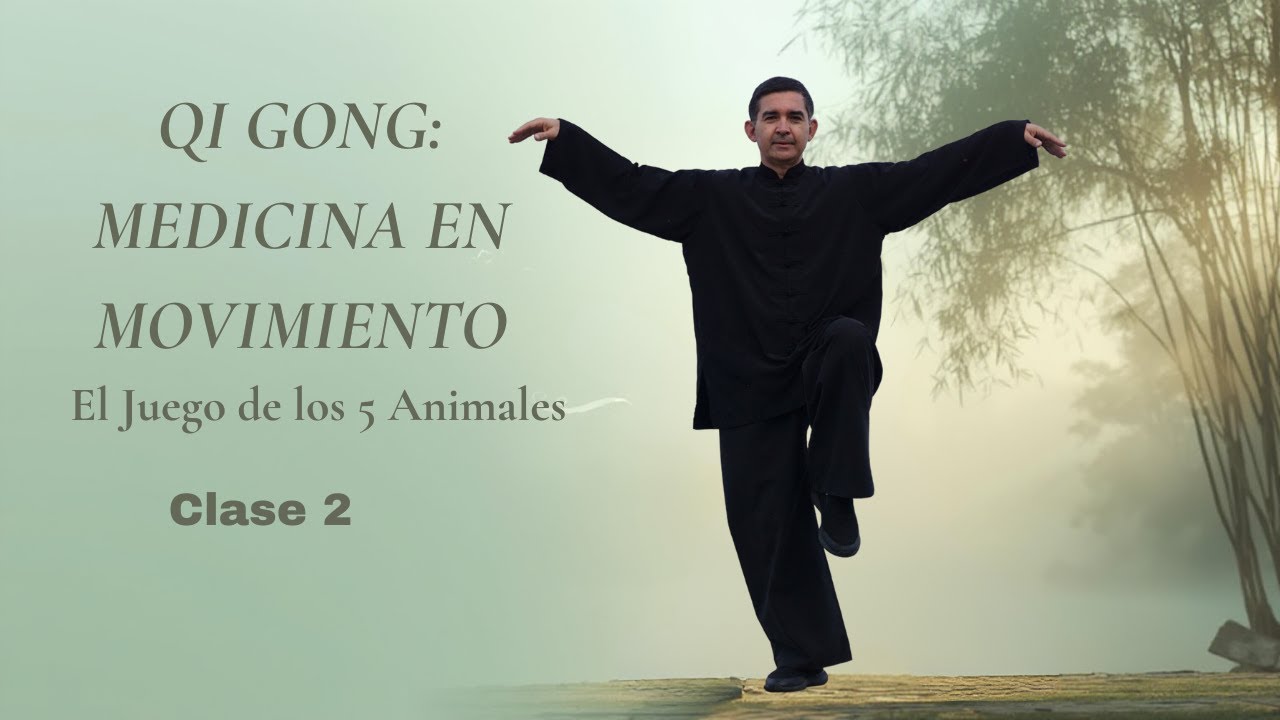 Medicina en Movimiento: Qi Gong 