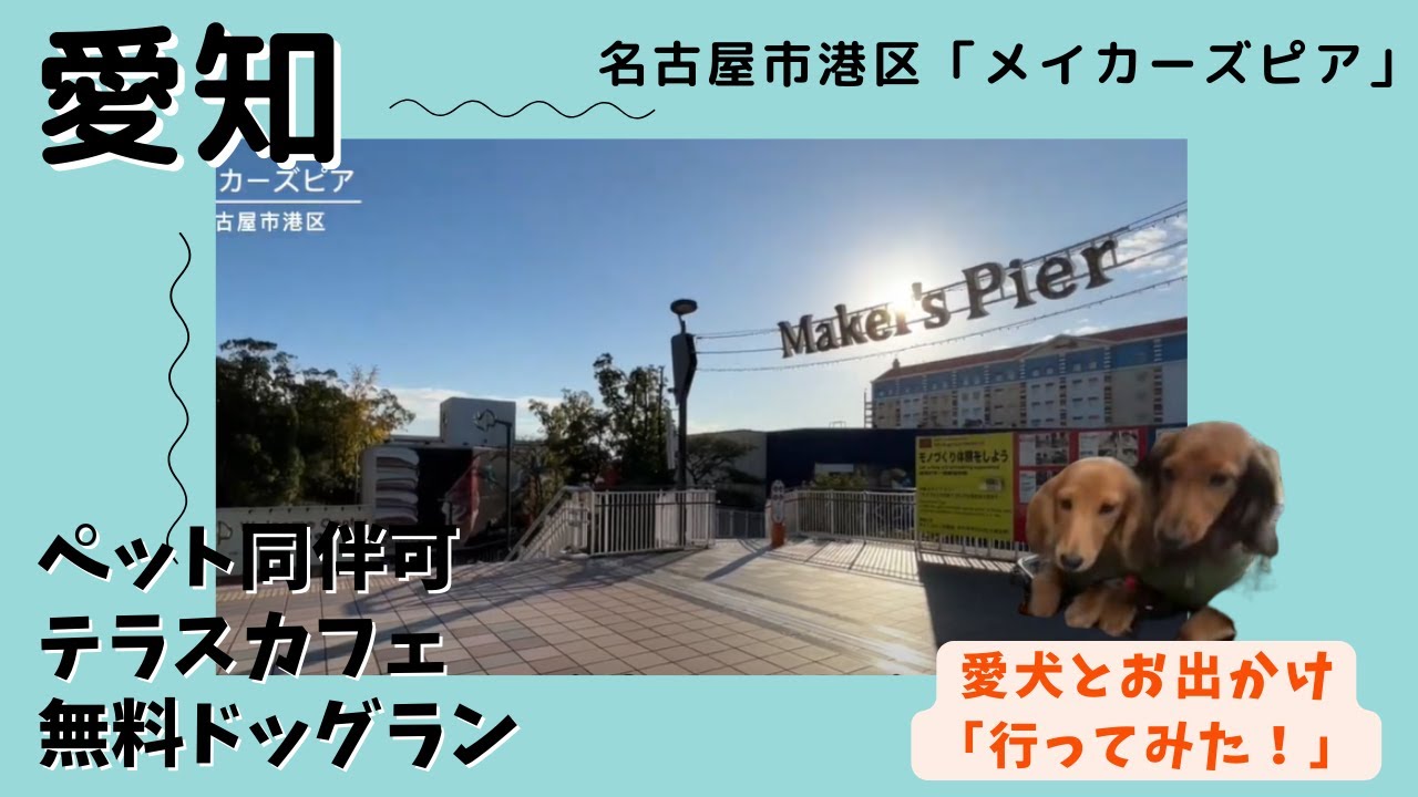 【愛犬とお出かけ】名古屋市港区/メイカーズピア/屋外ドッグラン/ペット同伴可カフェ【ミニチュアダックス多頭飼】