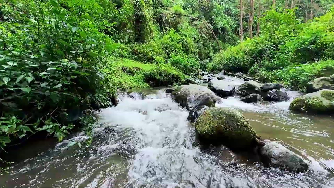 Stay deeply relaxed with calming river sound along a peaceful forest river for deeper sleep