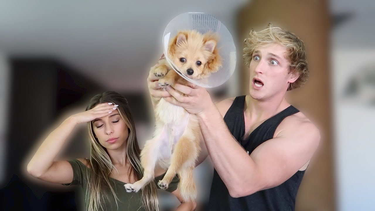 SHE REMOVED HIS PRIVATES WITHOUT TELLING ME! **not clickbait**