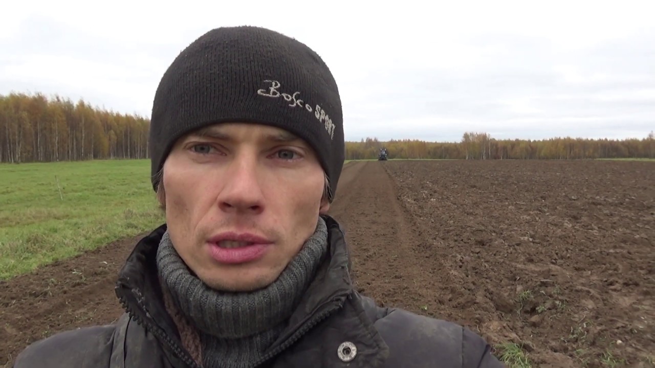 Подготавливаем землю и сажаем озимый чеснок