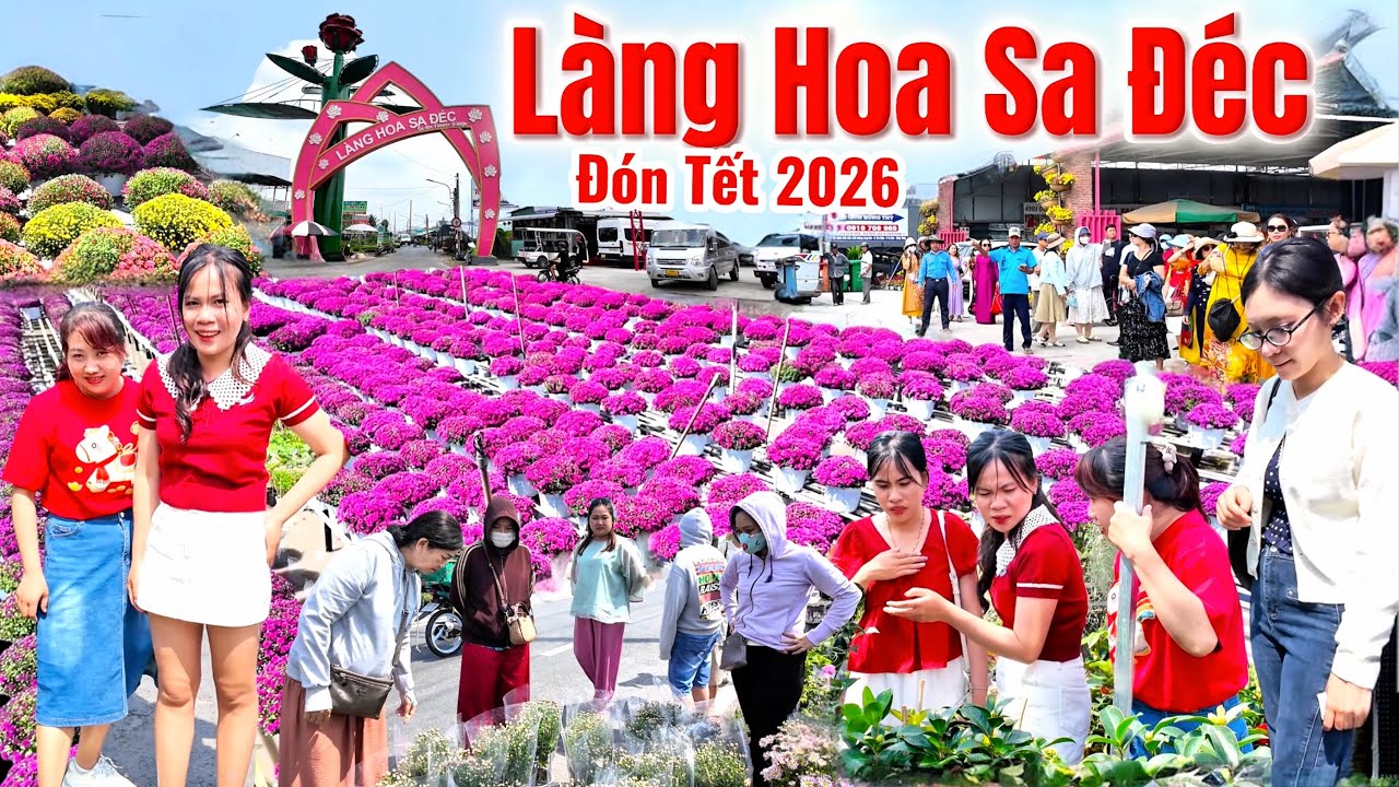 Thay Đổi Bất Ngờ, Làng Hoa Sa Đéc, Đồng Tháp, Cập Nhật Thêm Rất Nhiều Hoa Đẹp Để Đón Tết Năm 2026