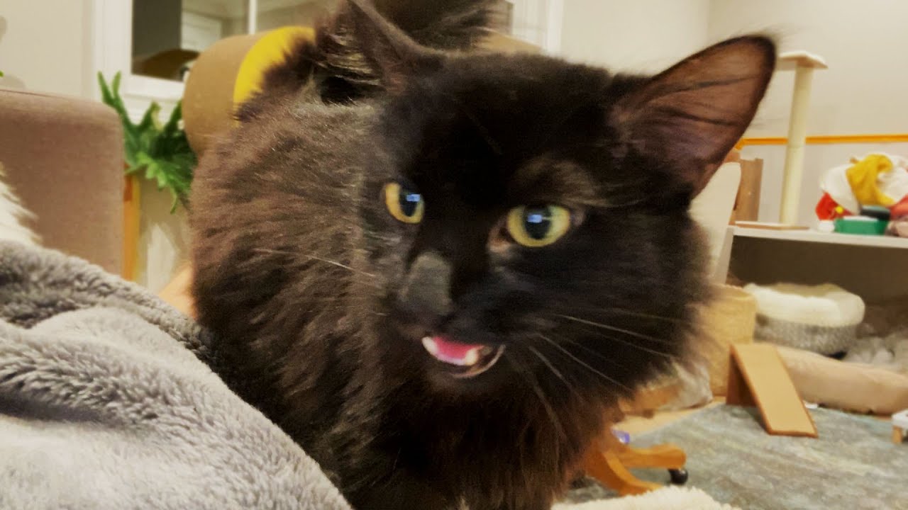 Что-то не так...