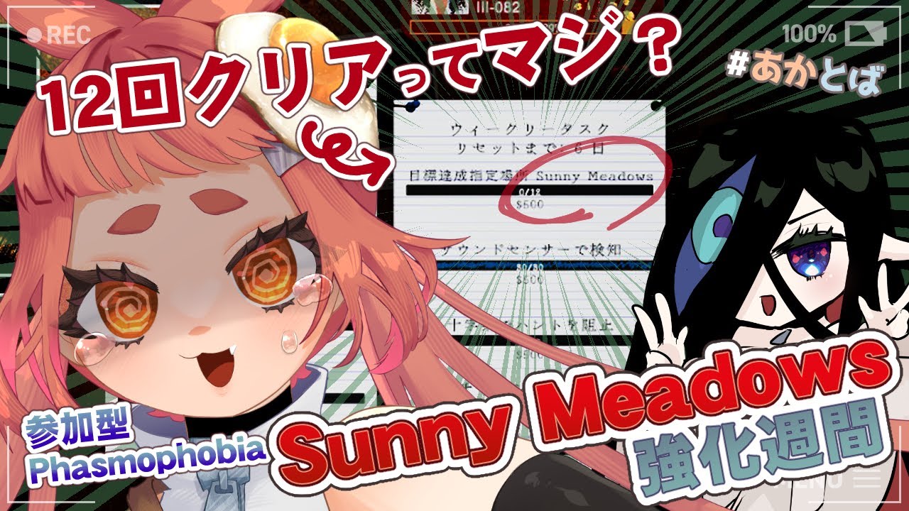 【#phasmophobia  】超巨大で暗い精神病院をさまよいまくって逃げまくって特定しまくる　【 Sunny Meadows 】
