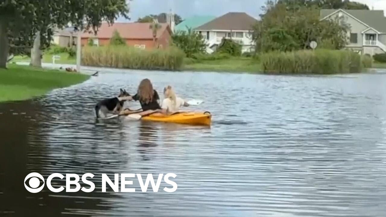 Flooding in Louisiana after Tropical Storm Bertha makes landfall