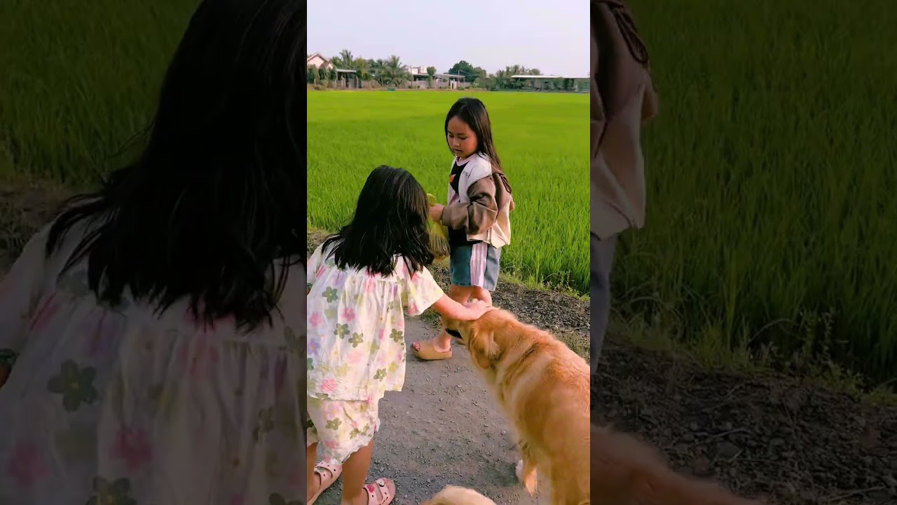 Có Những Khoảnh Khắc Sau Này Dù Có Bao Nhiêu Tiền Cũng Không Thể Mua Được.