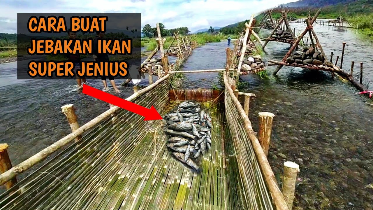PROSES PEMBUATAN PERANGKAP IKAN TRADISIONAL (SALUAR) DI SUNGAI, HASILNYA LUAR BIASA | JELAJAH NAGARI