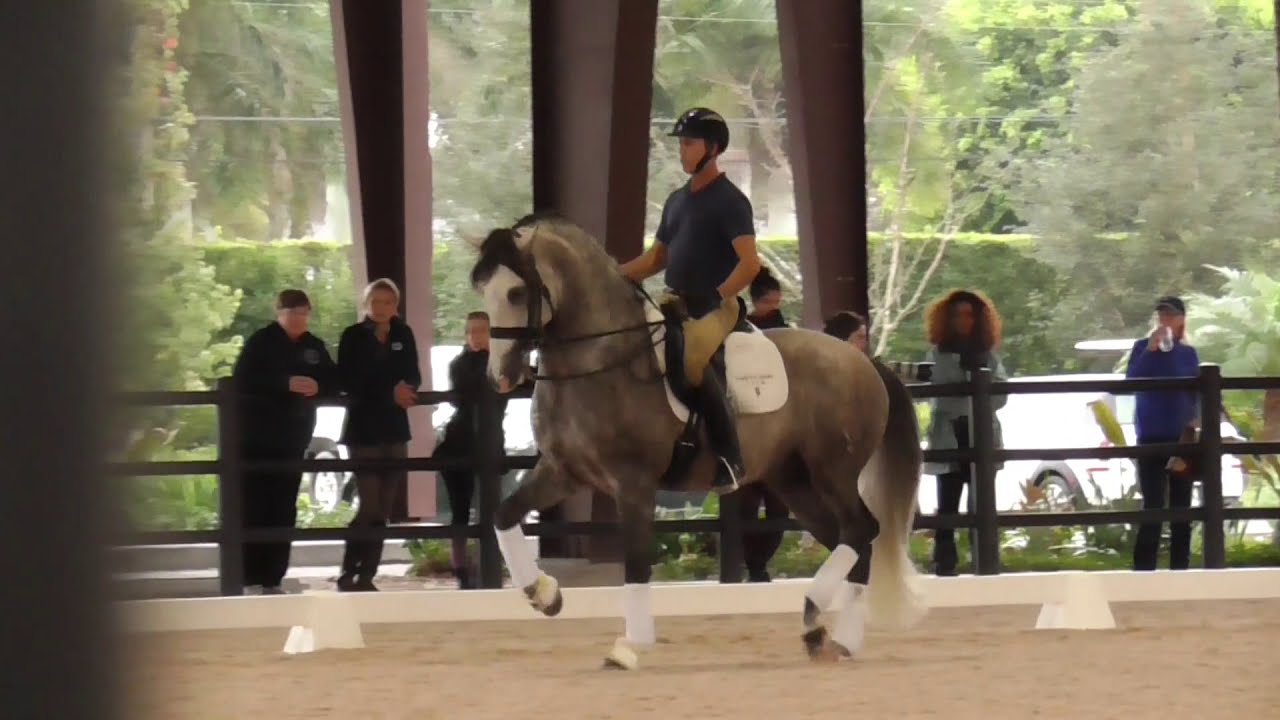 Olympian Robert Dover Riding a PRE Horse