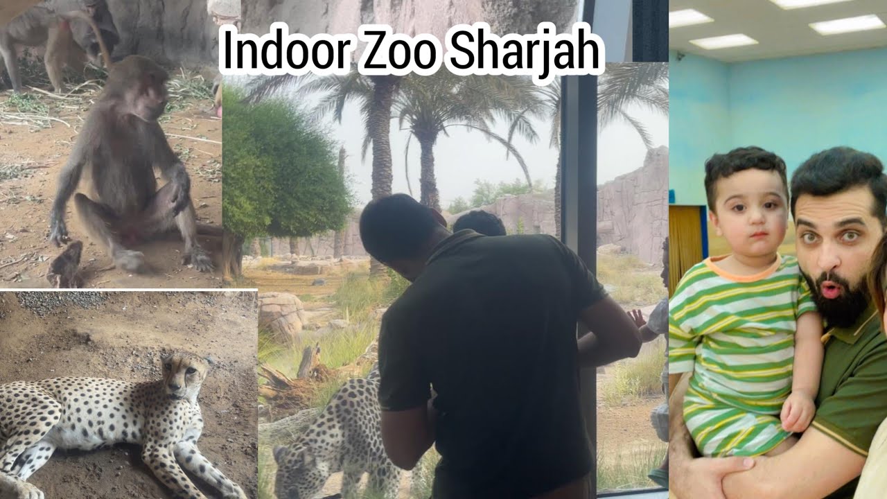 Arabia’s wildlife center in Sharjah | Indoor Zoo 🦍🐒 | Desert Park