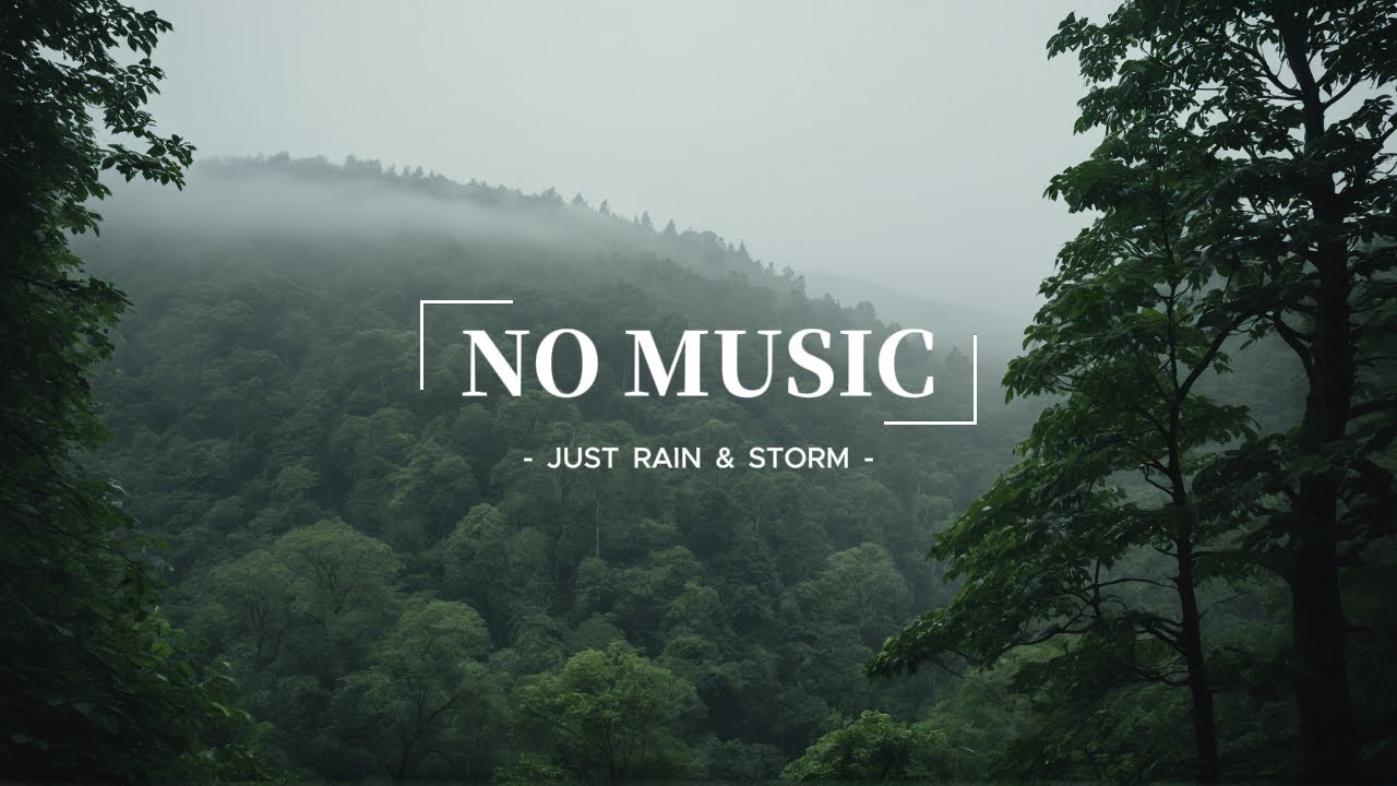 Heavy Rain Sounds for Deep Sleep & Relaxation | Rain on The Roof in the Foggy Forest