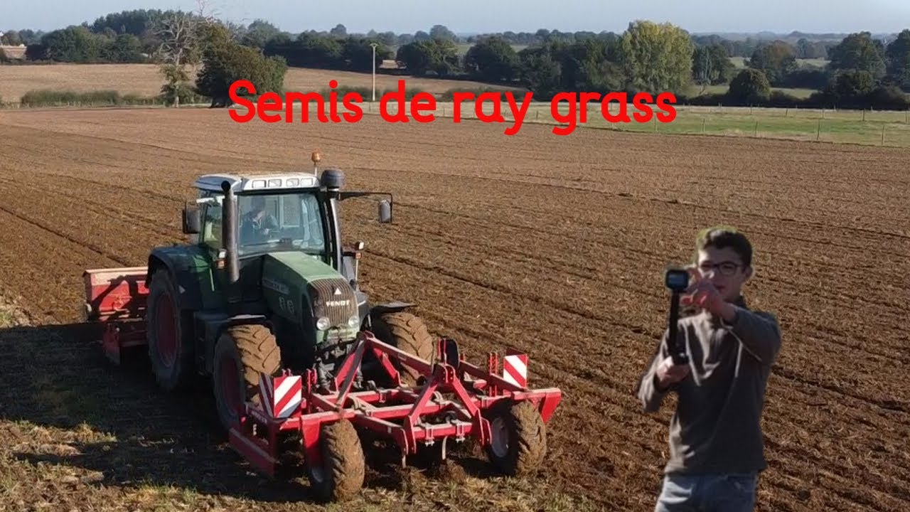 Semis de ray grass 2k21