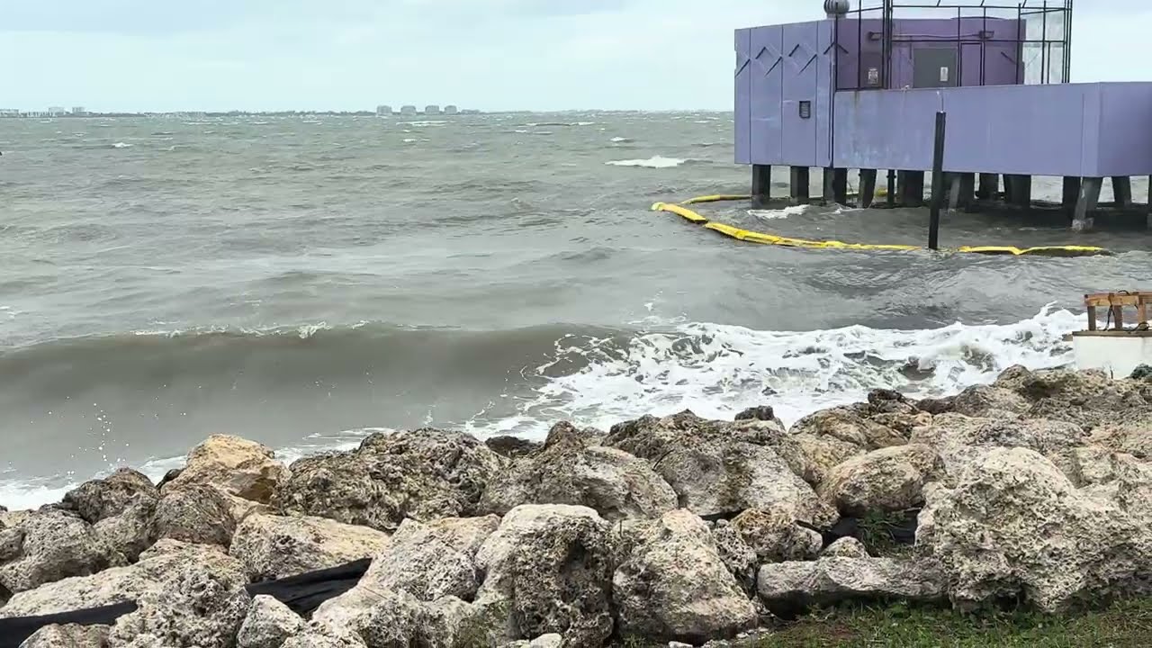 January — Sarasota, Florida
