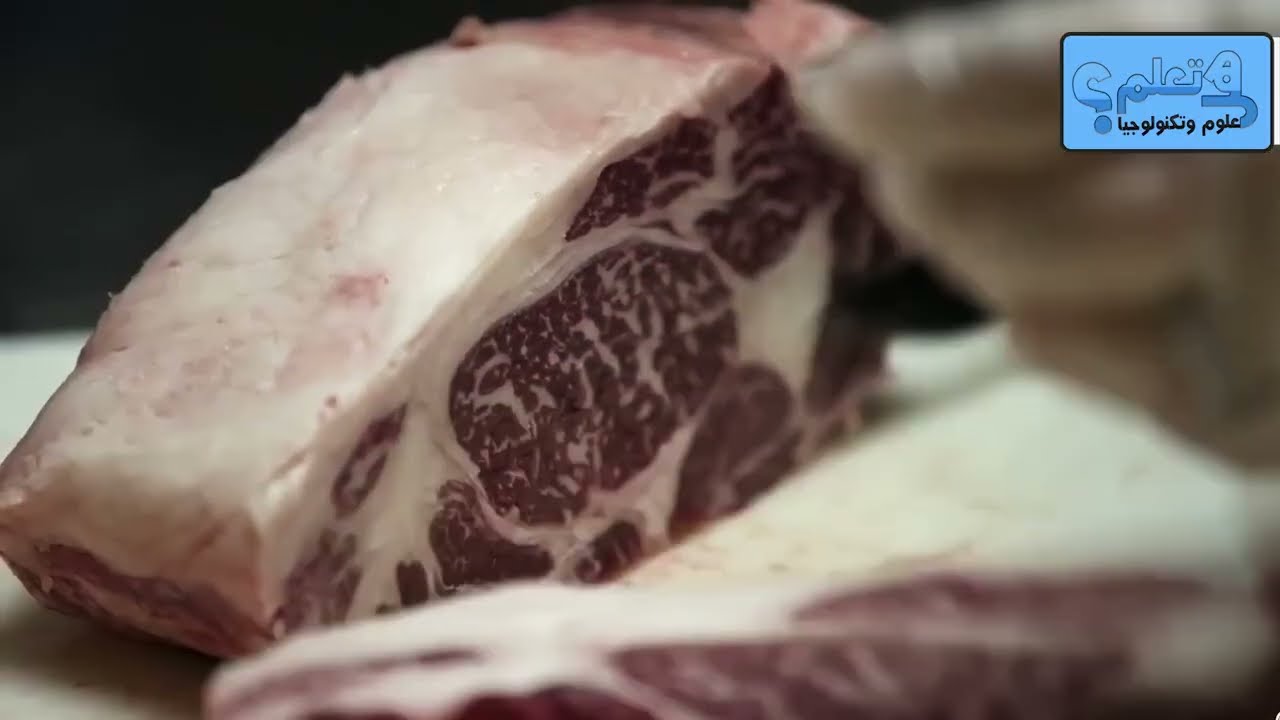 لن تصدق كيف تُجهّز لحوم الأغنام داخل أحدث مصانع الأغذية!