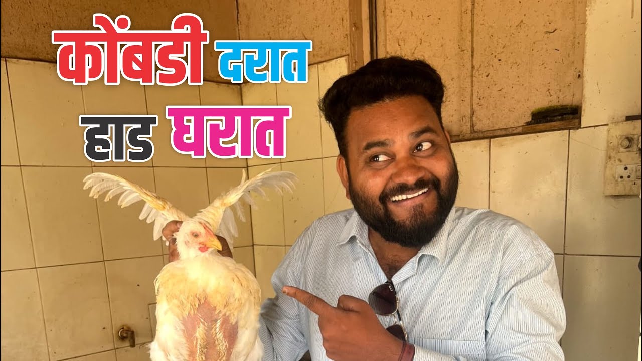 |comedy|🤣 |बायकुन काडली आब्रु| |हाड खावा म्हणता | कॉमेडी | |marathi comedy| 🤣| funny video |🤣🤣🤣
