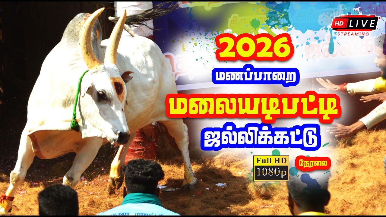 🔴 Live | மலையடிப்பட்டி ஜல்லிக்கட்டு நேரலை / Manaparai - Malaiyadipatti Jallikattu Live