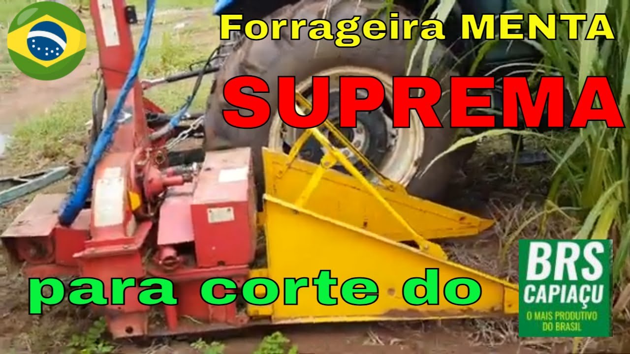 Forrageira/ensiladeira Menta SUPREMA - opini&atilde;o sincera e dicas.