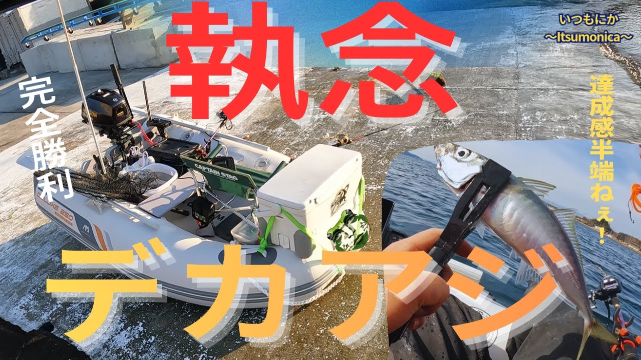 【沼津・２馬力ボート】幻のシロアマダイ狙いのはずが…タイラバで巨大アジ出現！？爆釣サビキ＆落とし込み釣り！