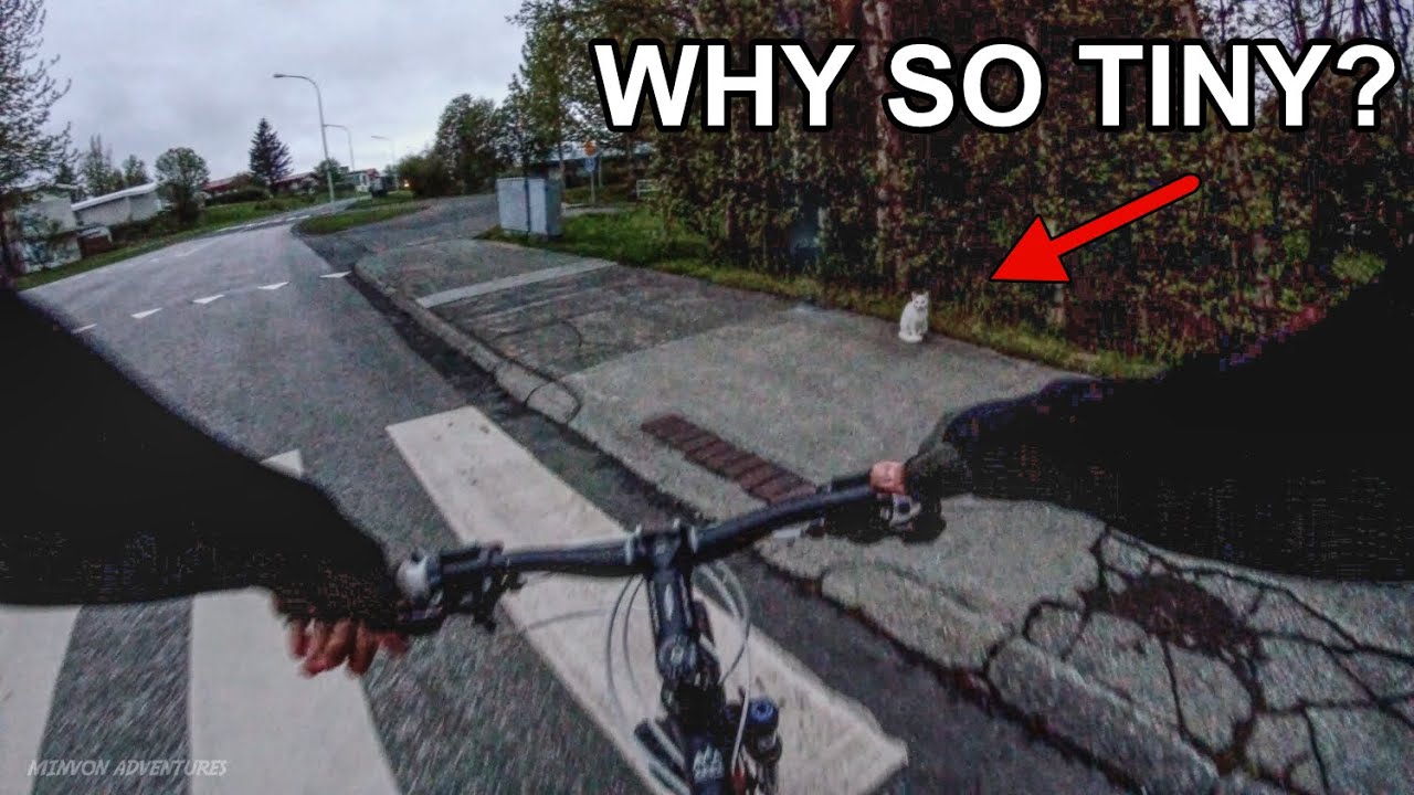 I went on a random bike trip at 2AM and found this! (Part 1) Reykjavik, Iceland [4K]
