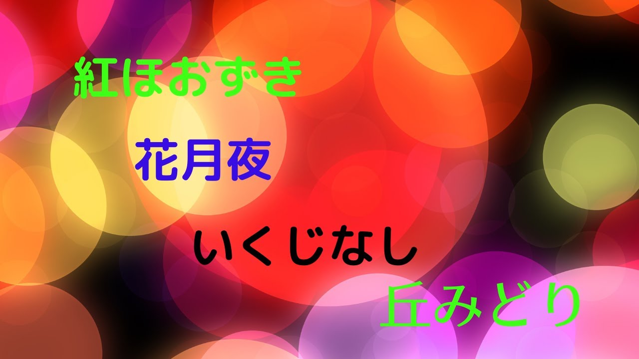 「紅ほおずき・花月夜・いくじなし」　丘みどり5/17サムネイル画像変更