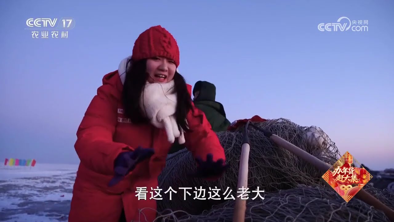 《谁知盘中餐》 20260214 食暖幸福年 龙马精神中国年 | 农业致富经 Agriculture And Farming