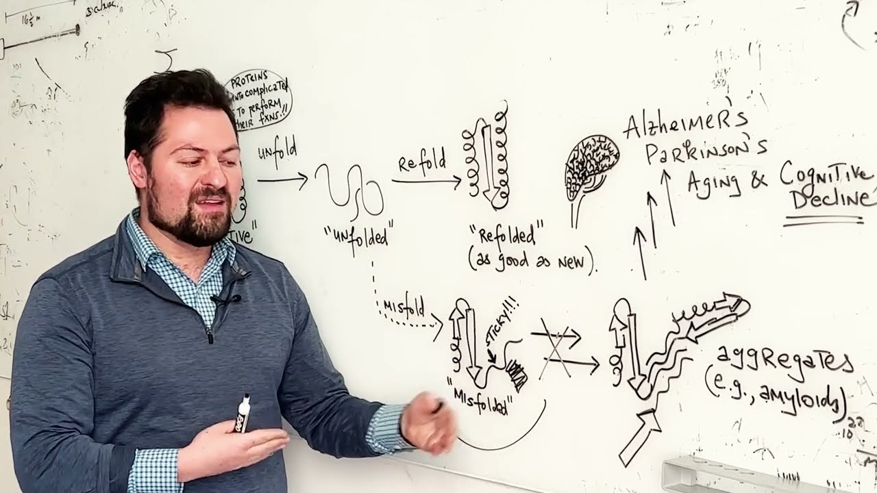 Protein Folding Crash Course with Johns Hopkins Chemistry Professor Stephen Fried