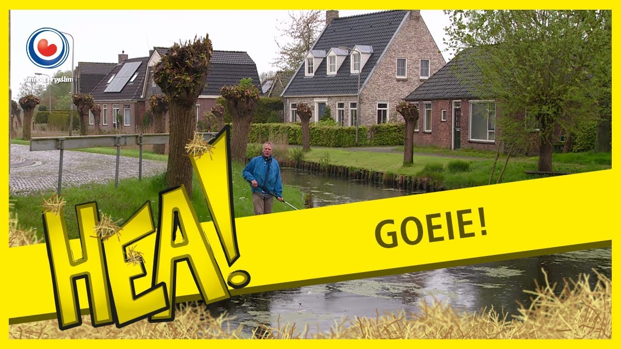 HEA! Goeie Rinsumageest
