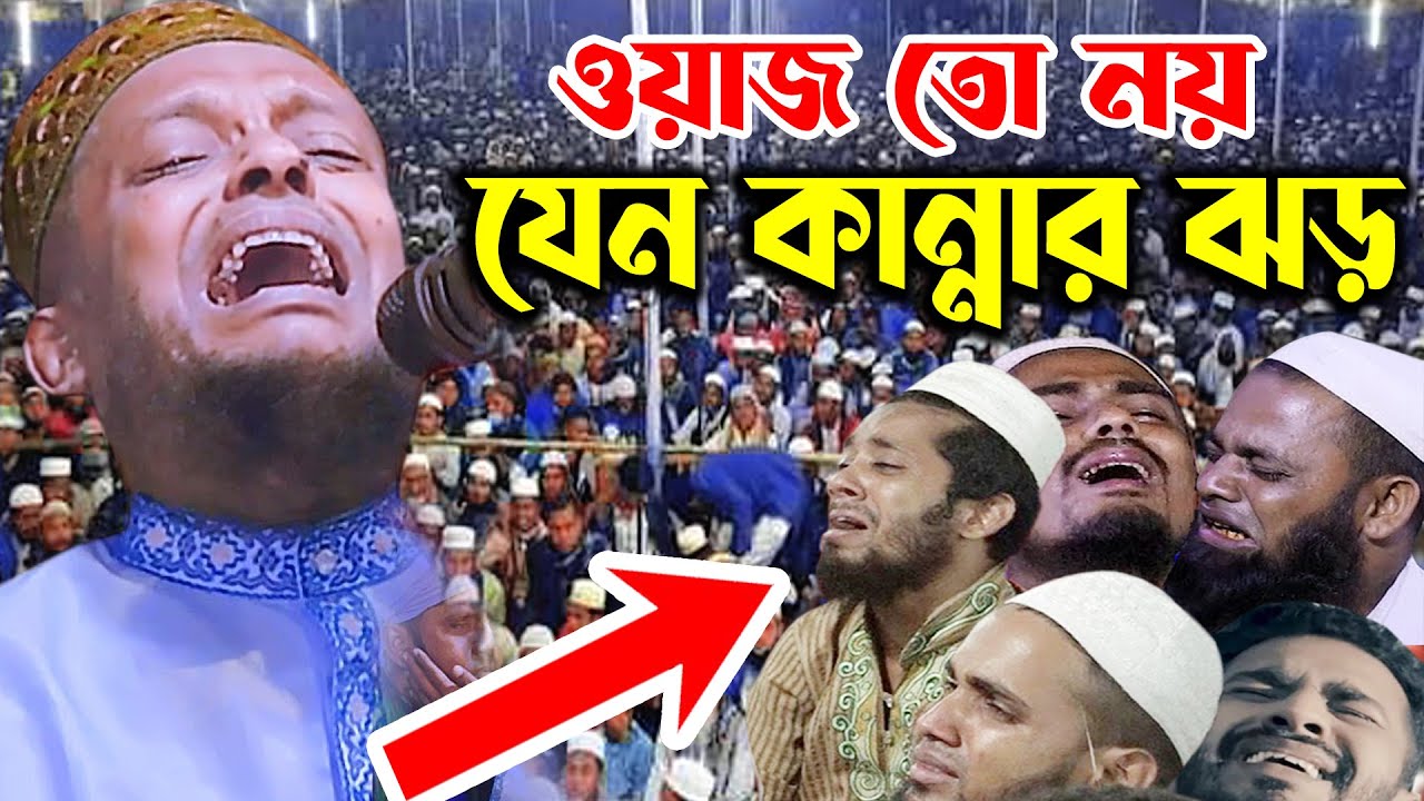 শুধু কান্না আর কান্না।হাফেজ ওয়ালীউল্লাহ আশেকী। Waliullah Asheki Waz