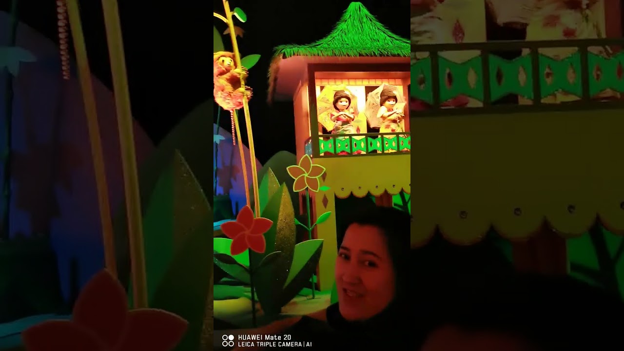 World tour at Disneyland 
