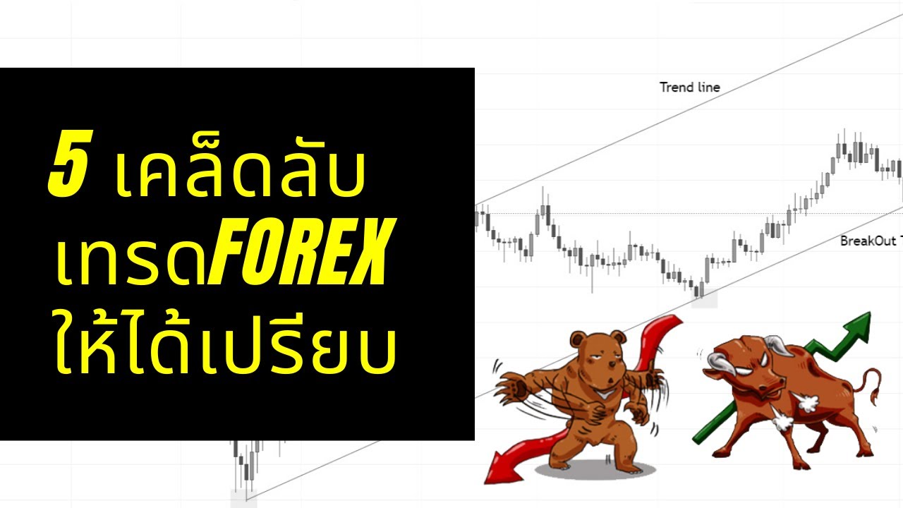 5 เคล็ดลับ เทรด Forex ให้ได้เปรียบ