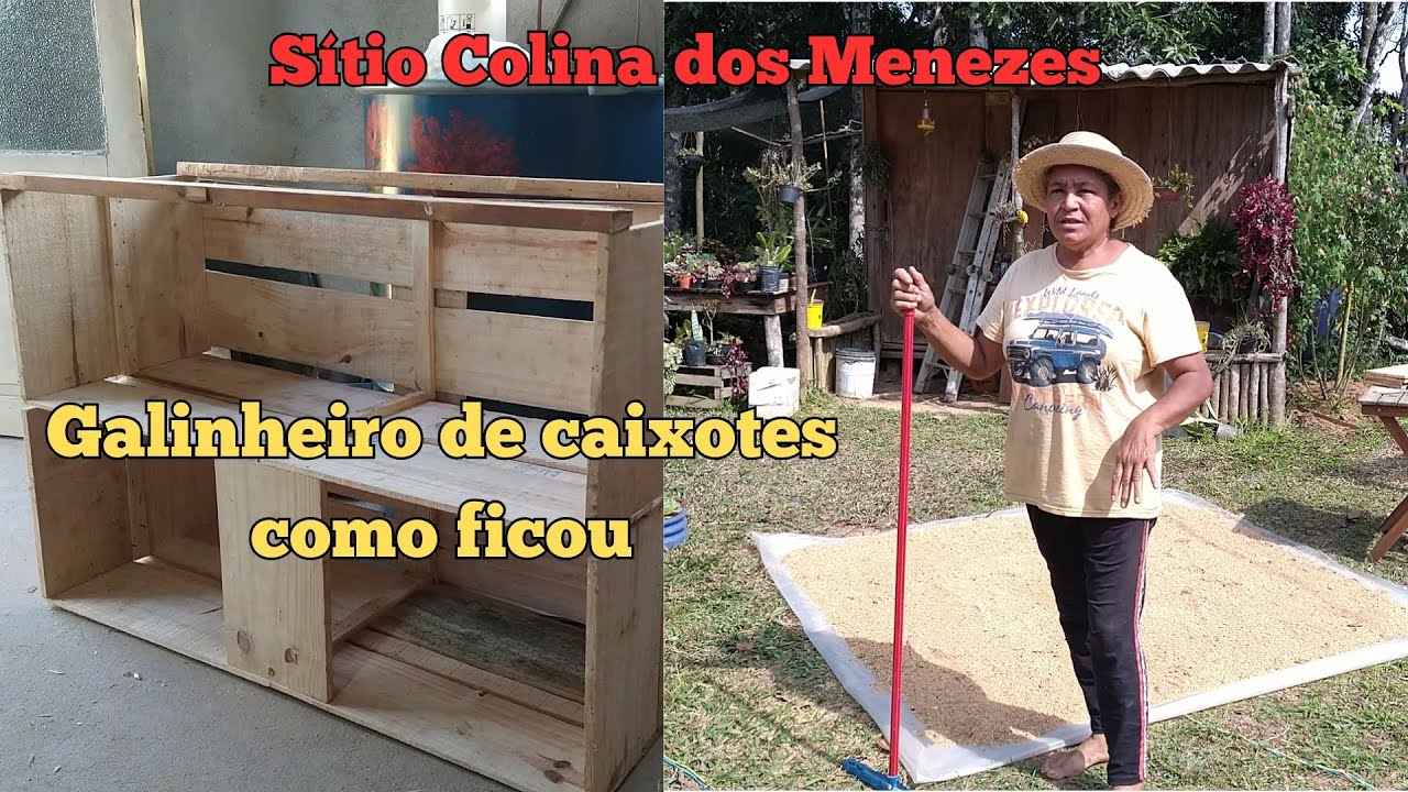 Sitio Colina dos Menezes - Como fiz galinheiro para pintinhos reciclando tábuas de caixote