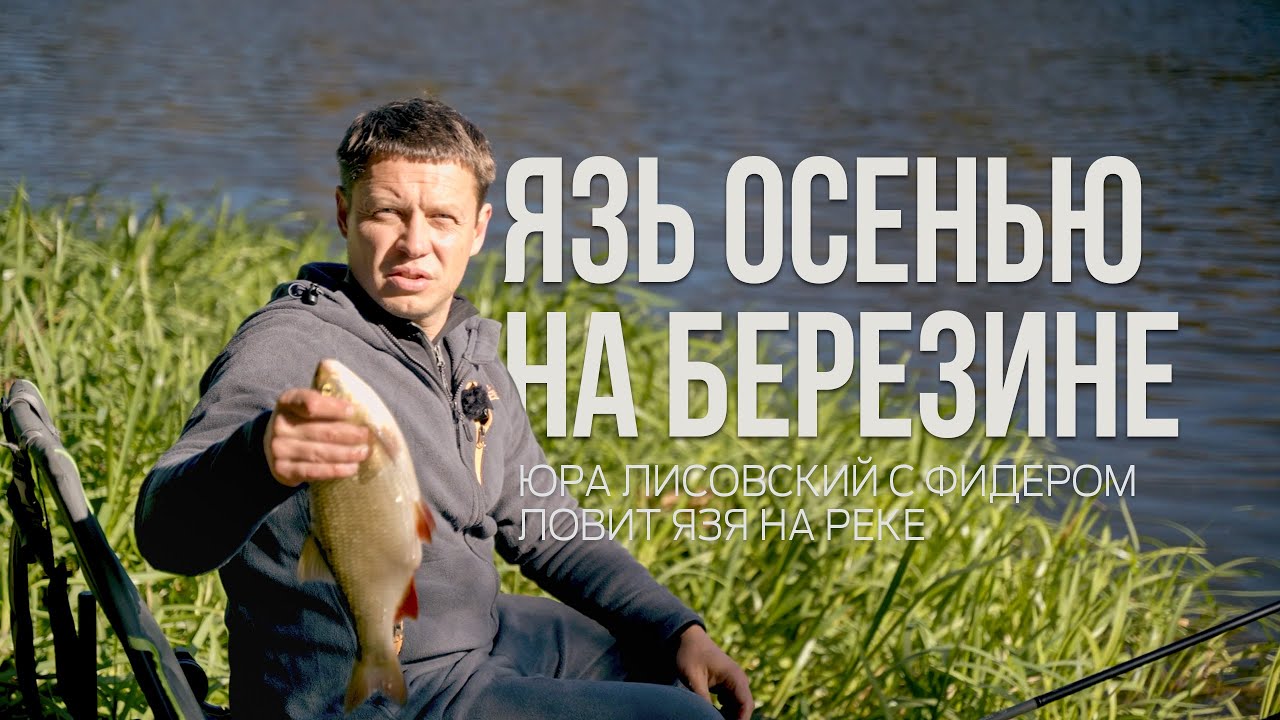 Осенняя рыбалка на Березине 🎣 Трофейный язь и фидерные секреты Юры Лисовского