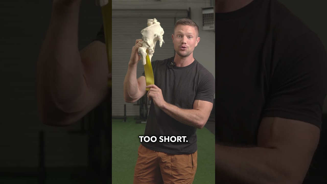 The REAL Fix For Tight Hamstrings (you&rsquo;ve never tried this) #stretching #mobility #pain #backpain