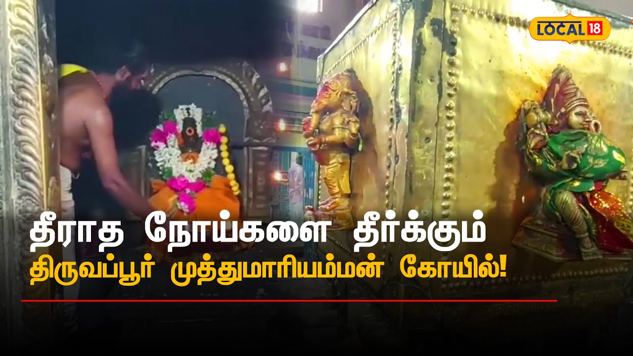 தீராத நோய்களை தீர்க்கும் திருவப்பூர் முத்துமாரியம்மன் கோயில்! Pudukkottai #local18