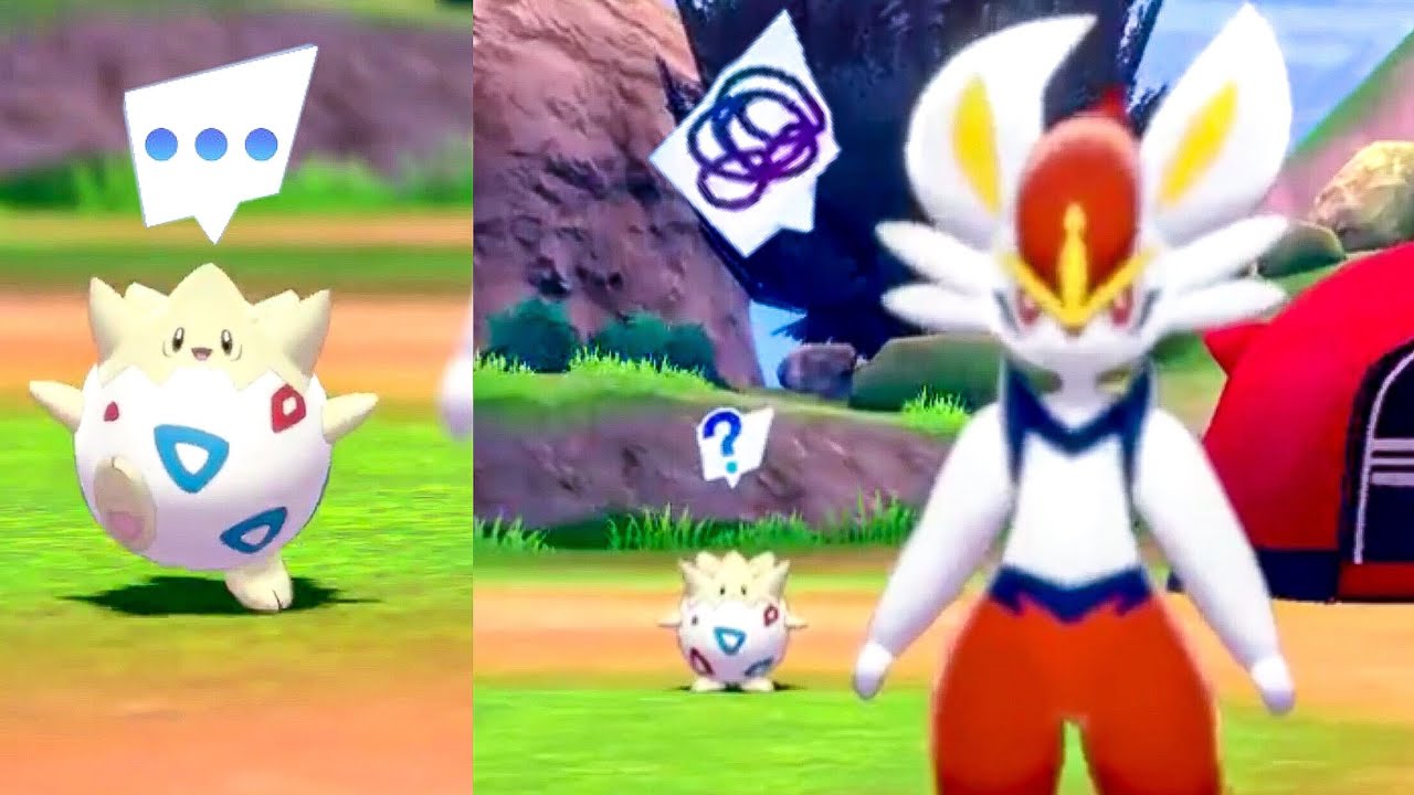 POKEMON CAMP MEMES