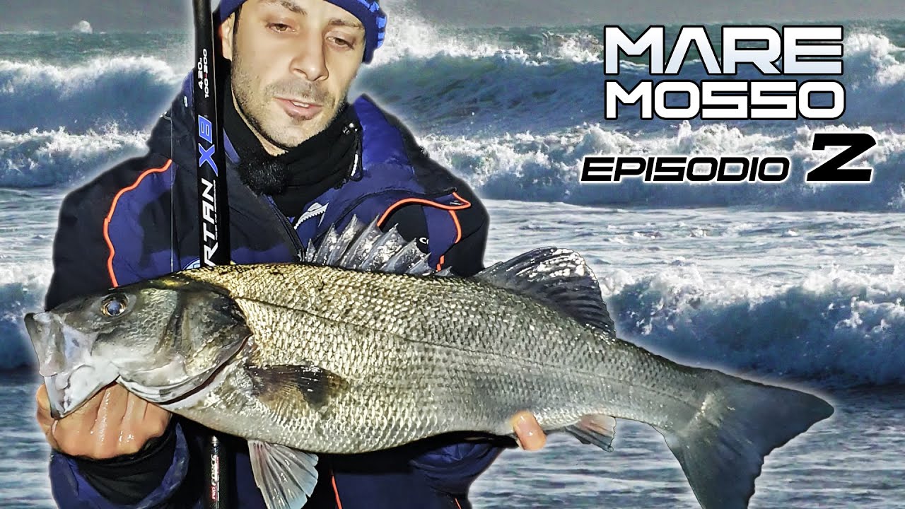 Il pesce pi&ugrave; 𝐆𝐑𝐀𝐍𝐃𝐄 della 𝐒𝐓𝐀𝐆𝐈𝐎𝐍𝐄? Surfcasting in condizioni 𝐃𝐈𝐅𝐅𝐈𝐂𝐈𝐋𝐈 🌊 𝑴𝑨𝑹𝑬 𝑴𝑶𝑺𝑺𝑶 𝑬𝑷 𝟐