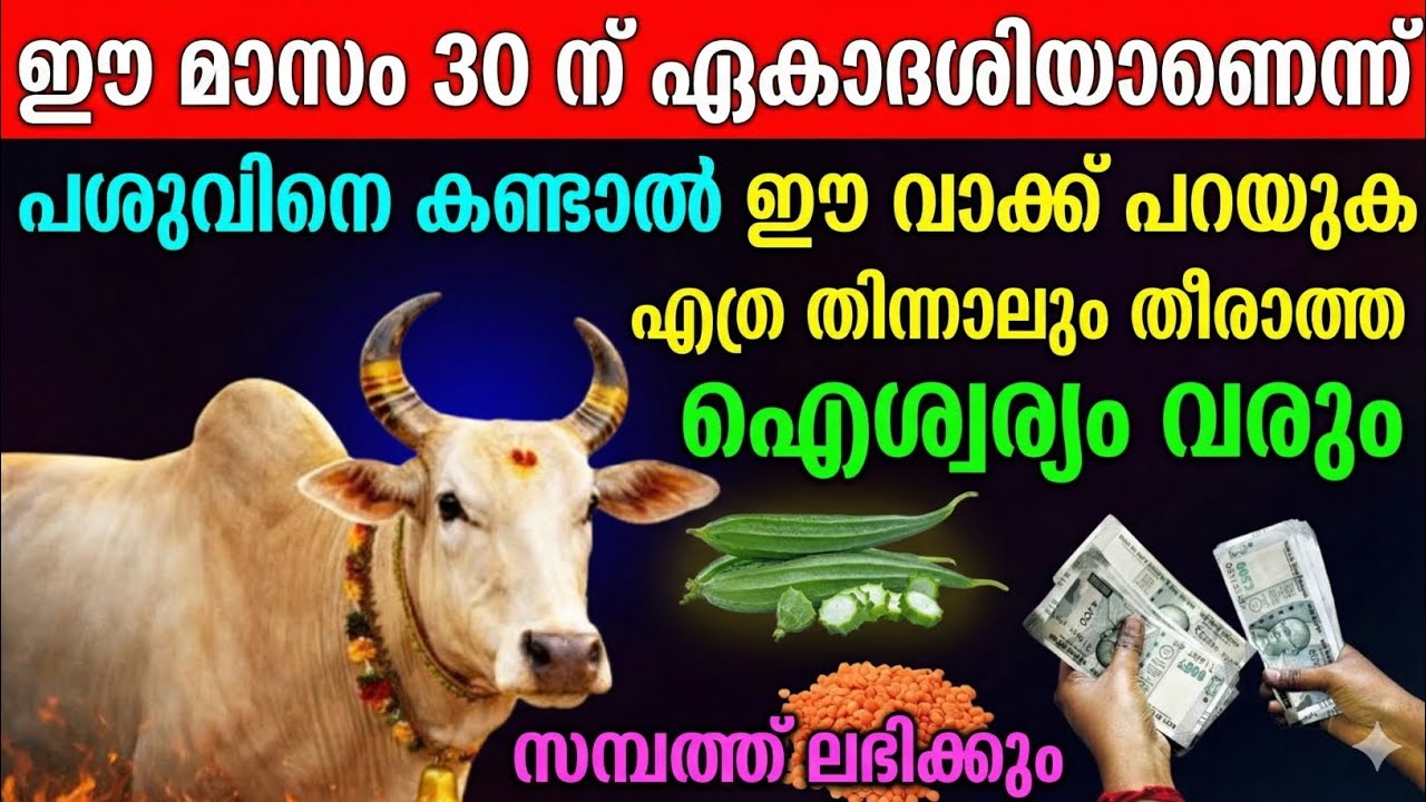 മുക്കോടി ഏകാദശി മഹിമ: പശുവിനെ കണ്ട നിമിഷം ഇത് പറഞ്ഞാൽ ഐശ്വര്യം ഒഴുകും !vaastuveddarpan