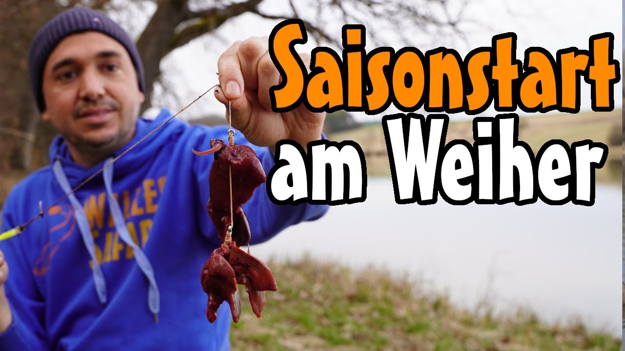 Saisonstart am Vereinsweiher // Welsangeln mit Pose und Leber