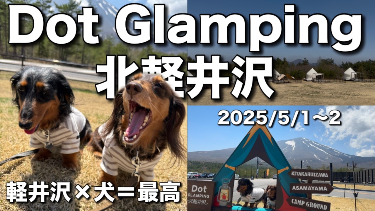 浅間山ビュー【犬連れ軽井沢旅】Dot Glamping 北軽井沢に犬連れでグランピングに行ってきた！