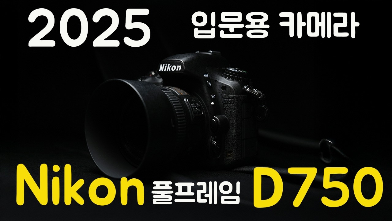 입문용 풀프레임 카메라 50만원대 니콘 d750 아직도 충분한 성능