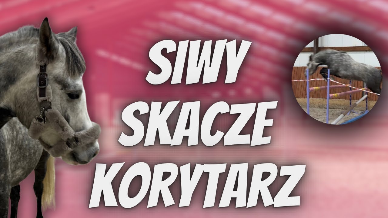 SIWY SKACZE KORYTARZ 🔝 ARON UCIEKA (JAK ZWYKLE) 😂