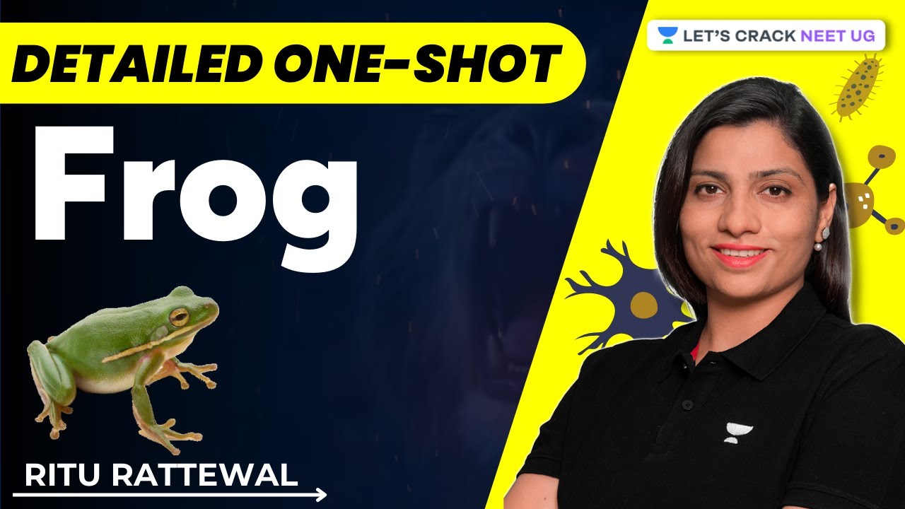 Phoenix 2.0: Biology Most Important Video for NEET 2025 | Udaan