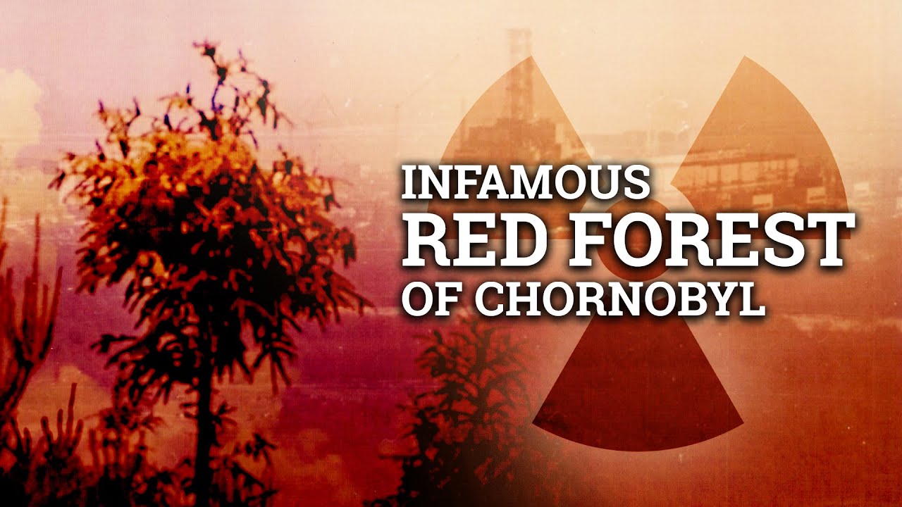 Czerwony Las w Czarnobylu: Mutacje, promieniowanie i nauka | Czarnobyl Uncharted, odcinek 27