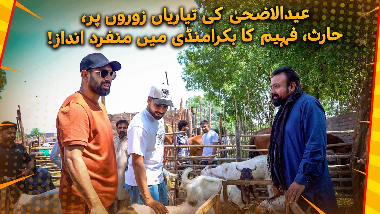 How Much Did Haris Rauf & Faheem Ashraf Pay for Their Bakra❓ | Banter at Bakra Mandi!