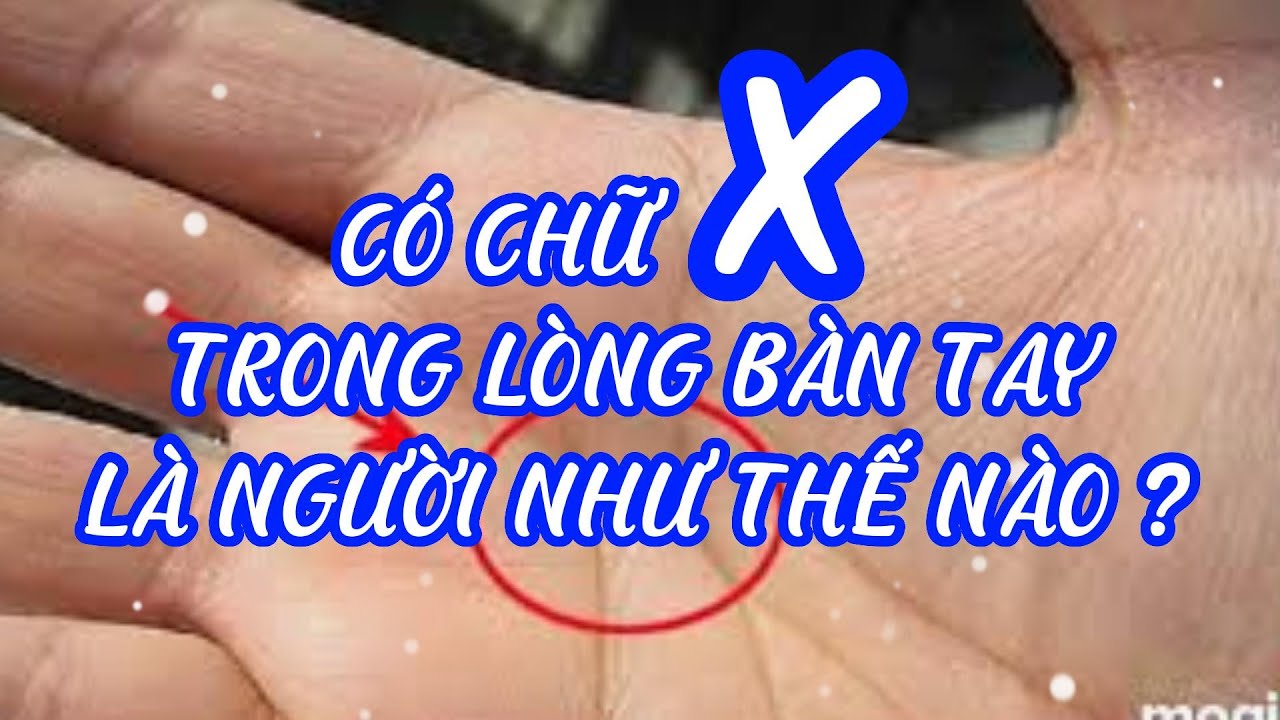 NGƯỜI CÓ CHỮ X TRONG LÒNG BÀN TAY LÀ NGƯỜI NHƯ THẾ NÀO ?