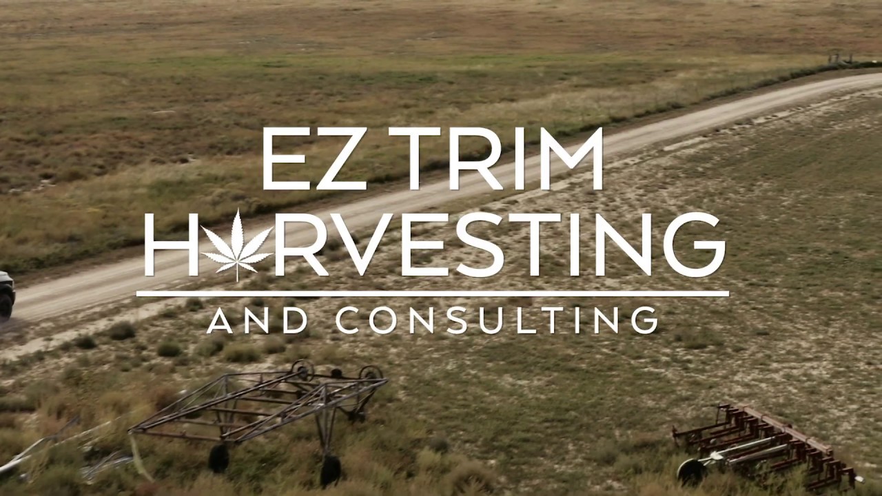 About Ez Trim Harvesting and Consulting | Cannabis and Hemp