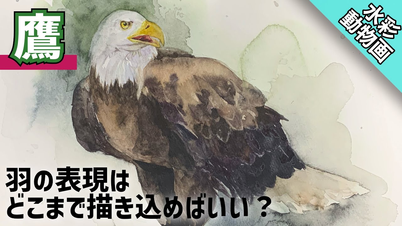 【透明水彩画】カッコいい鷹を描く/描き方 つらら庵