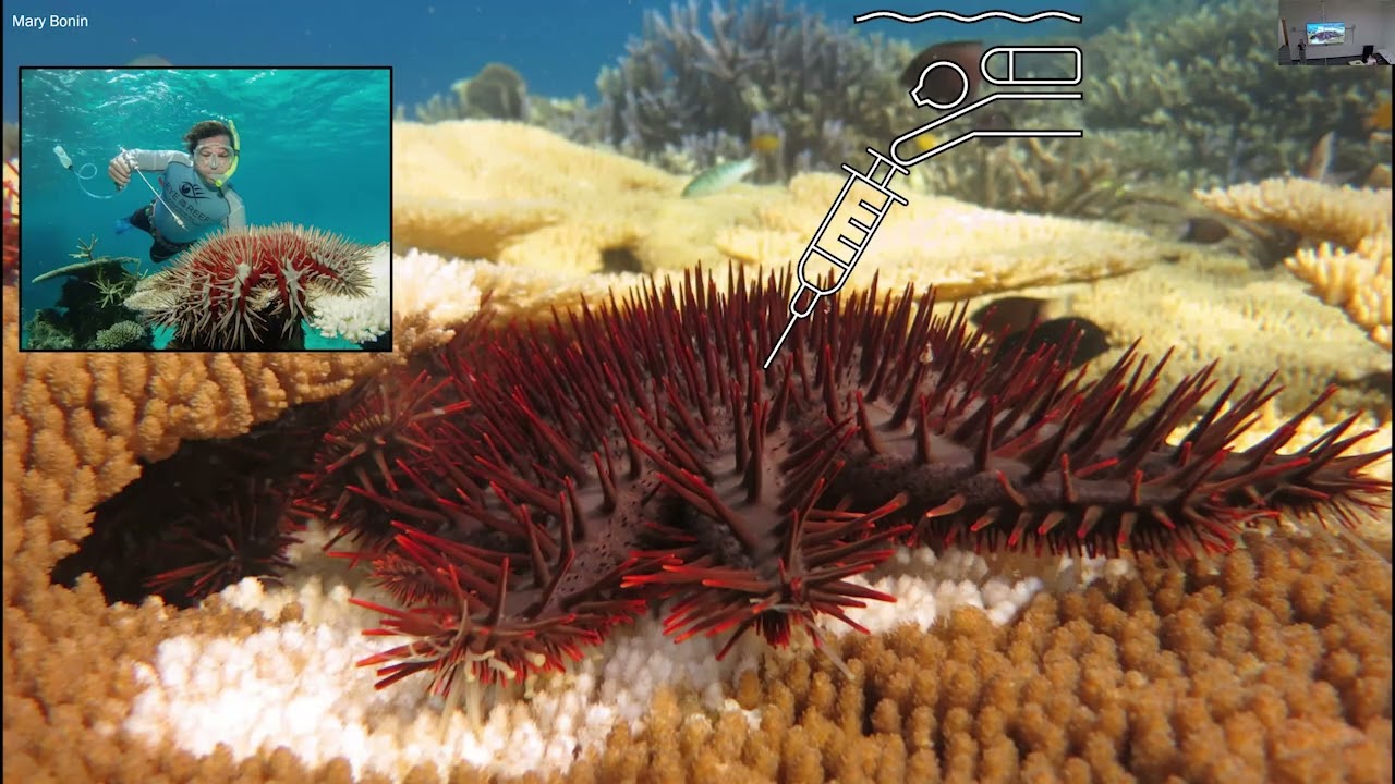 20251028 Tina Skinner