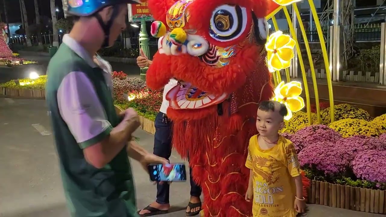 Nhộn Nhịp Khai Mạc Đường Hoa Bính Ngọ Tết 2026 